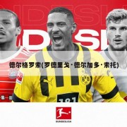 德尔格罗索(罗德里戈·德尔加多·索托)