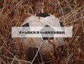梦十vs西班牙(梦八vs西班牙决赛国语)