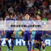 乔丹汉密尔顿(aj汉密尔顿)