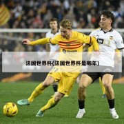 法国世界杯(法国世界杯是哪年)