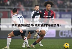 切尔西转会禁令(切尔西的转会禁令)