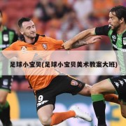 足球小宝贝(足球小宝贝美术教案大班)
