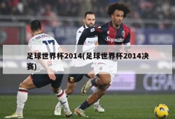 足球世界杯2014(足球世界杯2014决赛)