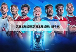 武林足球经理(武林足球经理2 新手卡)