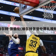 维尔特-张伯伦(维尔特张伯伦葬礼视频)