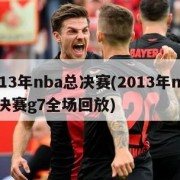 2013年nba总决赛(2013年nba总决赛g7全场回放)