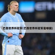 巴西世界杯冠军(巴西世界杯冠军是哪国)