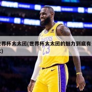 世界杯太太团(世界杯太太团的魅力到底有多大)